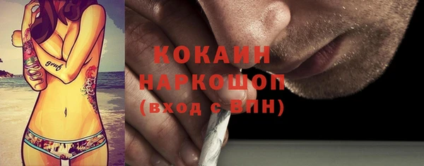прущие грибы Осташков