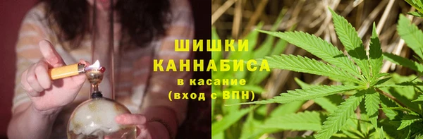 шишки Абинск