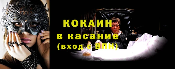 шишки Абинск