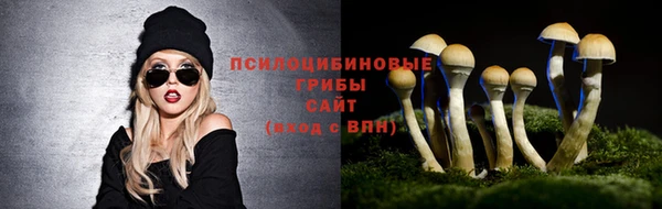 шишки Абинск