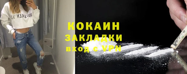 трава Осинники