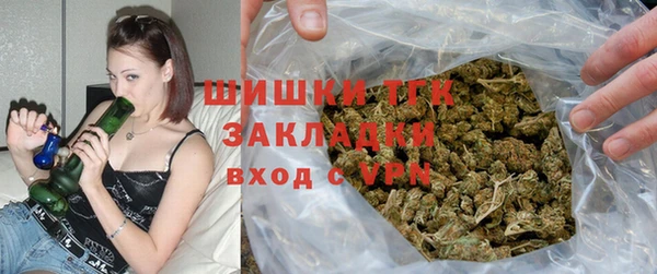 трава Осинники