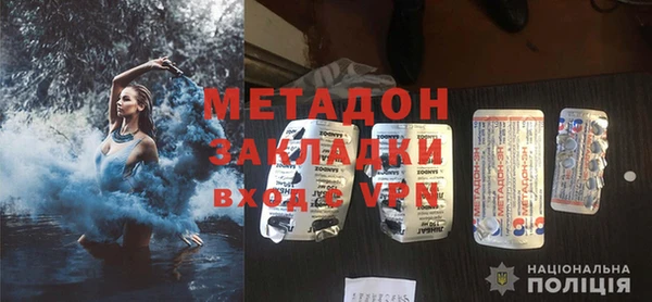 прущие грибы Осташков