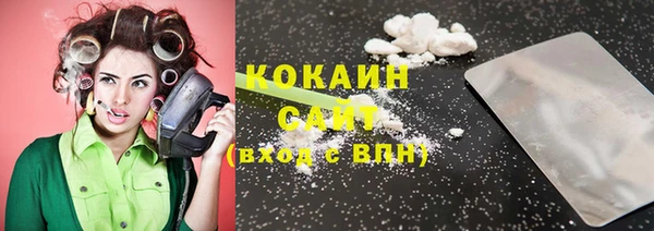 шишки Абинск