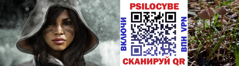 Галлюциногенные грибы прущие грибы  Сафоново 